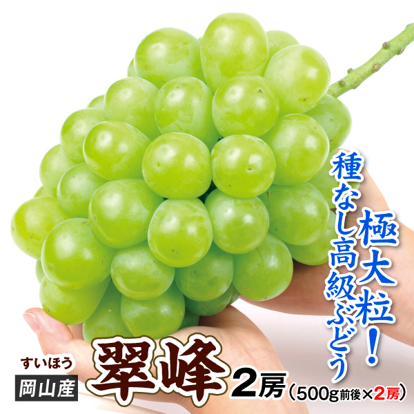 ぶどう 2房 翠峰 (すいほう) 岡山産 ご家庭用 500g×2房 種なし葡萄 送料無料 食品
