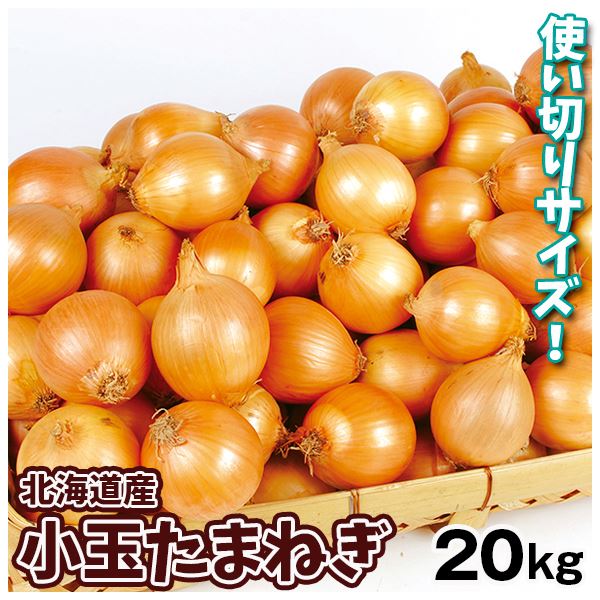 北海道産 小玉たまねぎ 20kg 送料無料 食品