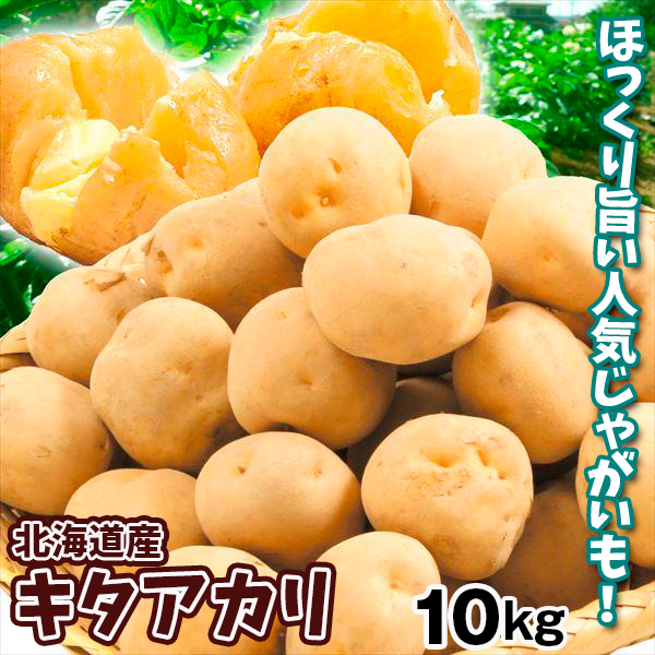 じゃがいも 北海道産 キタアカリ 10kg 送料無料 食品