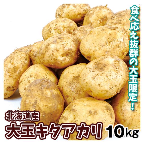じゃがいも 北海道産 大玉キタアカリ 10kg 送料無料 食品