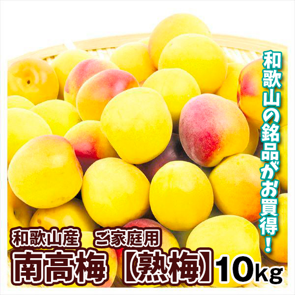 梅 和歌山産 ご家庭用 南高梅・熟梅 10kg 紀州梅 梅干し 送料無料 冷蔵便 食品