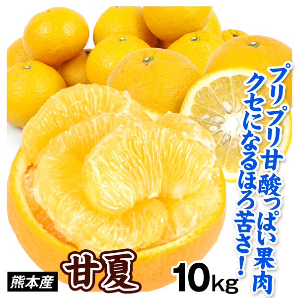 みかん 熊本産 ご家庭用 甘夏 10kg あまなつ 柑橘 蜜柑 フルーツ 果物 送料無料 食品