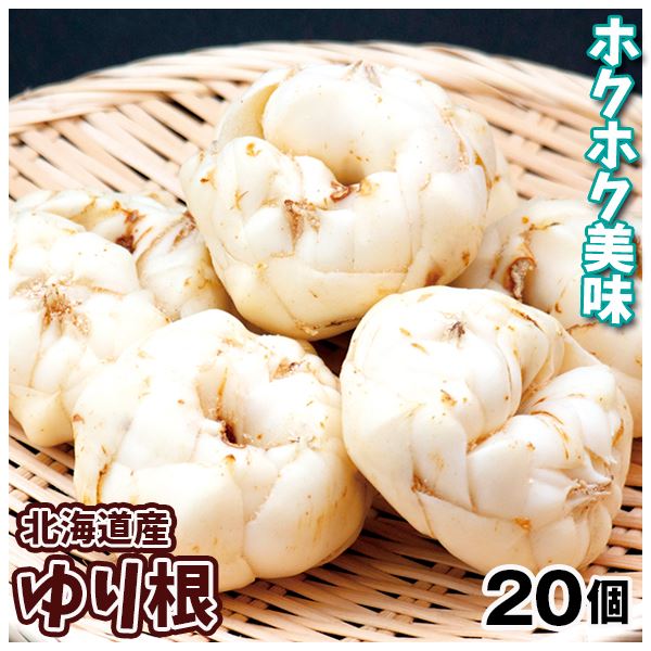 ゆり根 20個 北海道産 送料無料 食品