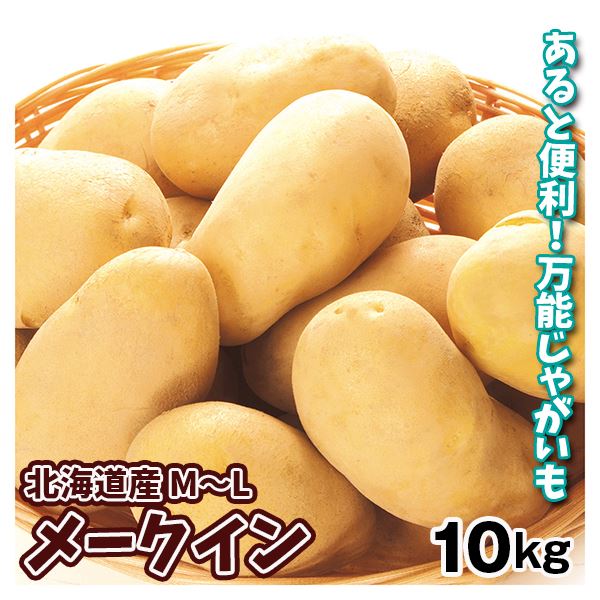 じゃがいも 北海道産 メークイン 10kg 送料無料 食品