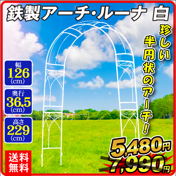 鉄製アーチ・ルーナ白　１個 アーチ ガーデンアーチ ローズアーチ バラアーチ アイアンガーデニング 庭 玄関 門 フラワー つるバラ 薔薇