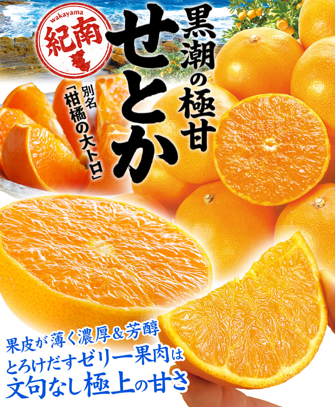国華園オンラインショップ / みかん 5kg 黒潮の極甘 せとか 和歌山産