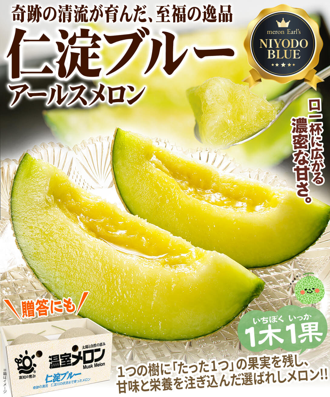 国華園オンラインショップ / メロン 高知産 仁淀ブルー アールスメロン