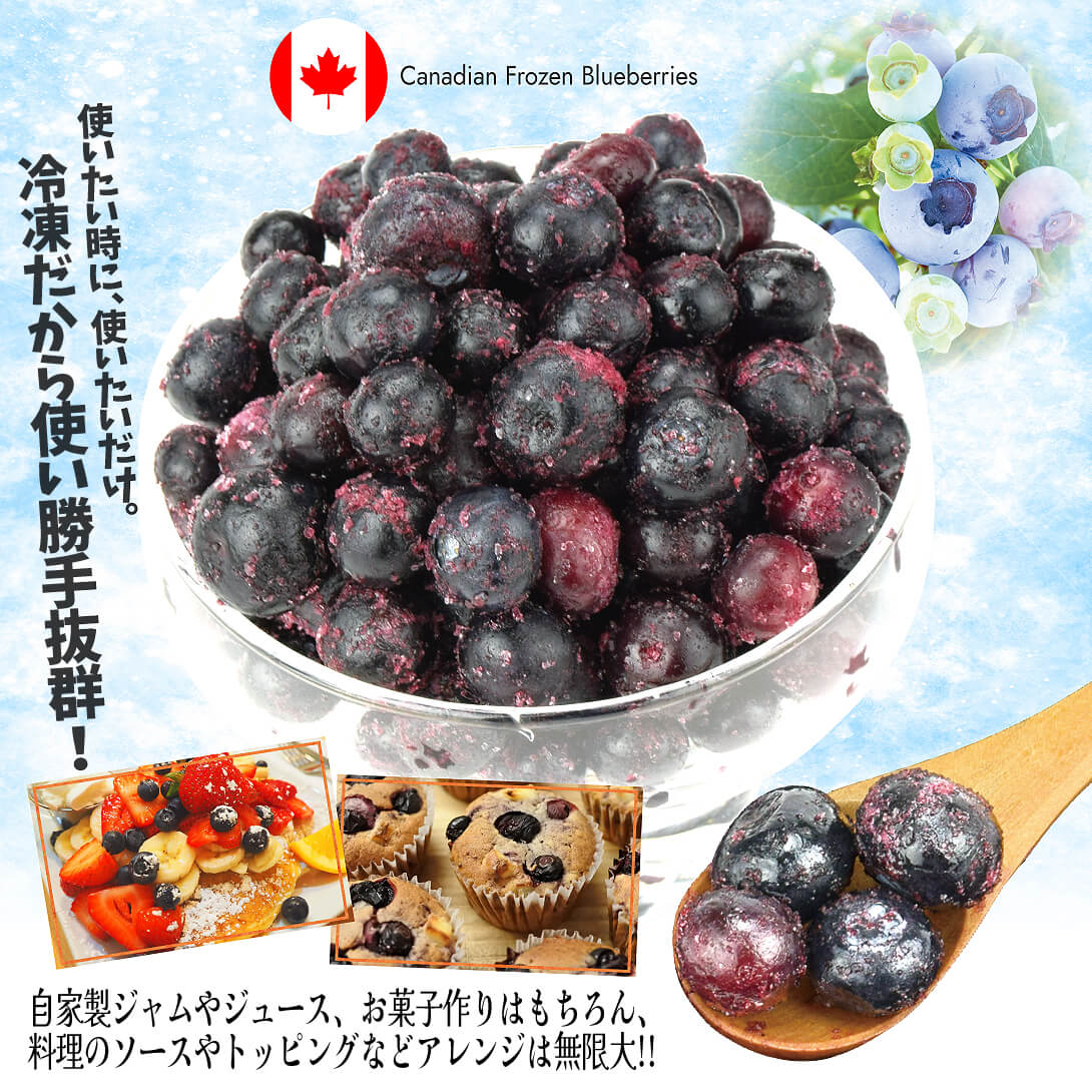 国華園オンラインショップ / カナダ産 冷凍ブルーベリー 1kg 砂糖不