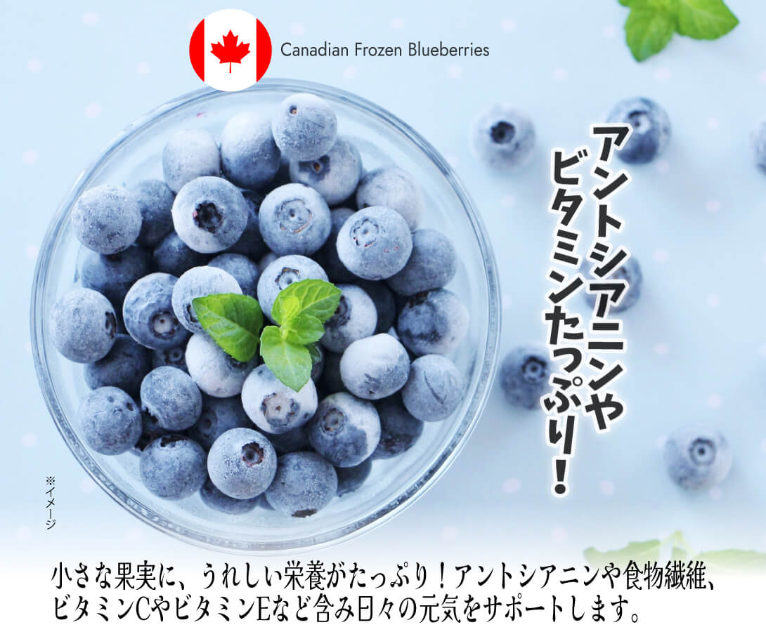 国華園オンラインショップ / カナダ産 冷凍ブルーベリー 1kg 砂糖不