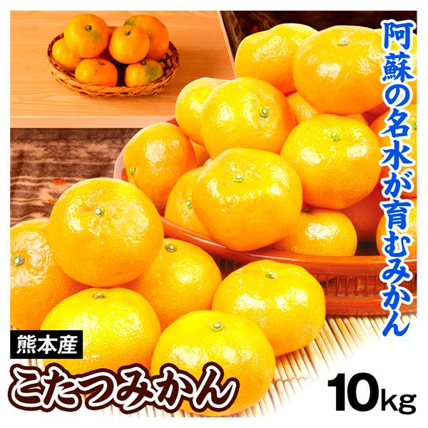 みかん こたつみかん 10kg 熊本産 蜜柑 温州 送料無料 食品