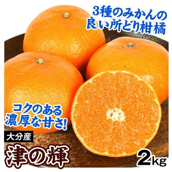 みかん 大分産 津の輝 2kg つのかがやき 柑橘 蜜柑 フルーツ 果物 送料無料 食品