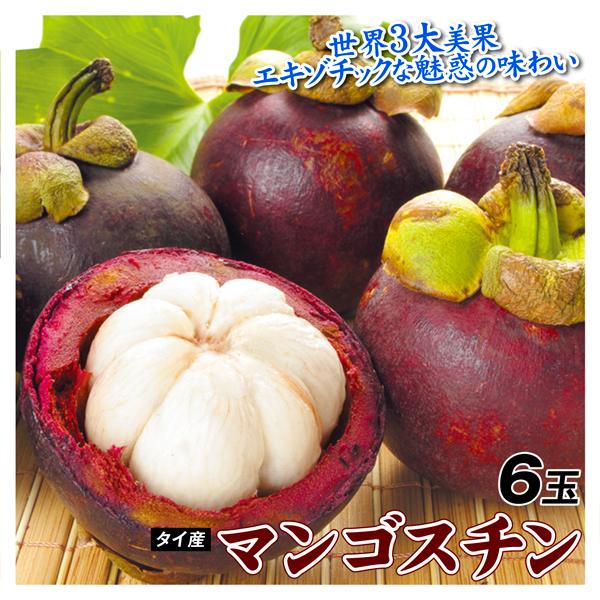 熱帯果実 6玉 マンゴスチン タイ産 世界三大美果 送料無料 食品