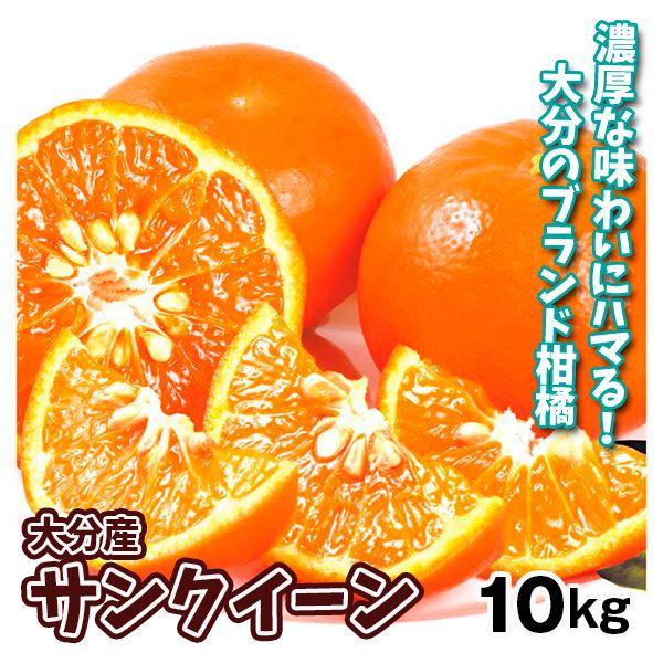 みかん サンクイーン 10kg 大分産 セミノール 柑橘 果物 フルーツ 送料無料 食品