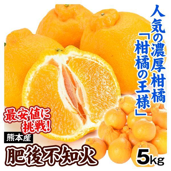 みかん 熊本産 ご家庭用 肥後不知火 5kg デコポンと同じ品種 送料無料 食品