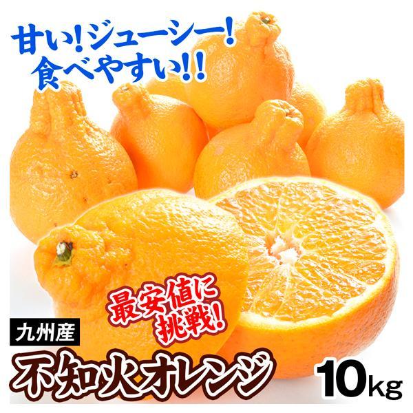 みかん 九州産  ご家庭用 不知火オレンジ 10kg 送料無料 食品