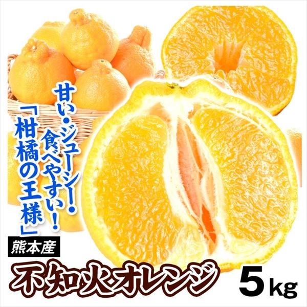 みかん 不知火オレンジ 5kg 熊本産 お買得 不知火 オレンジ デコ 柑橘 送料無料 食品