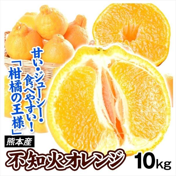 みかん 熊本産 お買得 不知火オレンジ 10kg 送料無料 食品