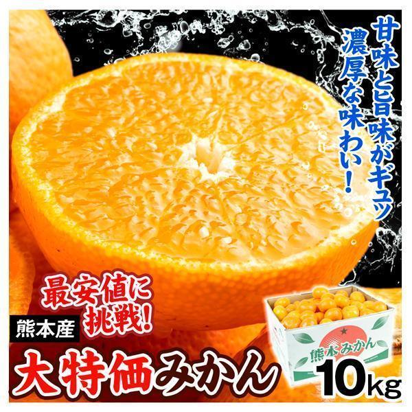 みかん 10kg 熊本産 ご家庭用 温州 蜜柑 柑橘 フルーツ 果物 送料無料 食品