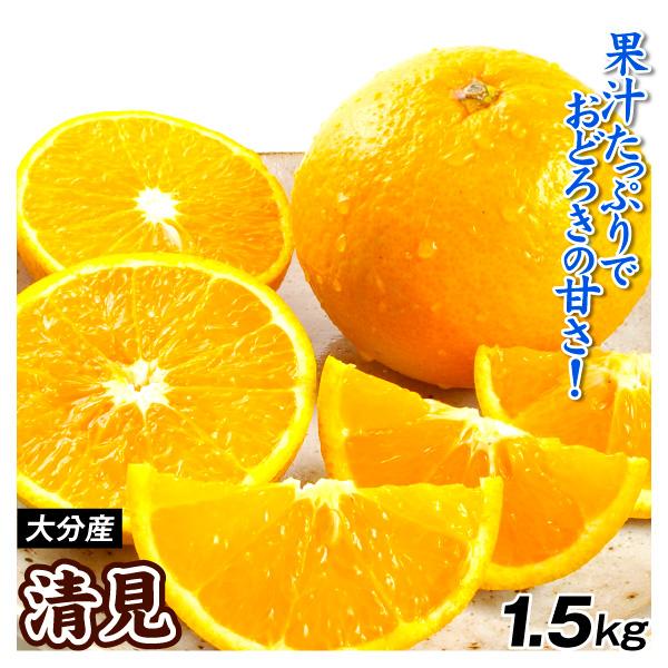みかん 1.5kg 清見 大分産 清見オレンジ 柑橘 ご家庭用 送料無料 食品