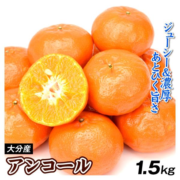 みかん 1.5kg アンコール 大分産 大特価 ご家庭用 送料無料 食品 国華園
