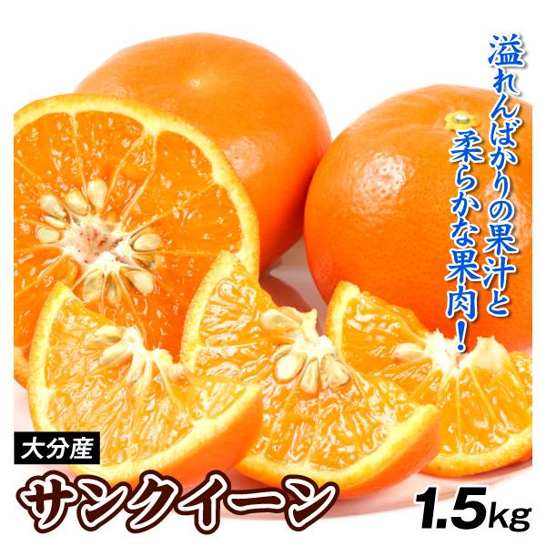 みかん 1.5kg サンクイーン 大分産 柑橘 オレンジ 蜜柑 フルーツ 果物 送料無料 食品
