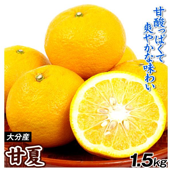 みかん 1.5kg 甘夏 大分産 ご家庭用 あまなつ 蜜柑 柑橘 フルーツ 果物 送料無料 食品