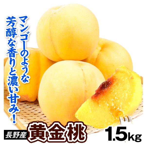 桃 長野産 黄金桃 1.5kg 1箱 黄桃 もも 産地直送 送料無料 食品 果物 フルーツ 青果 国華園