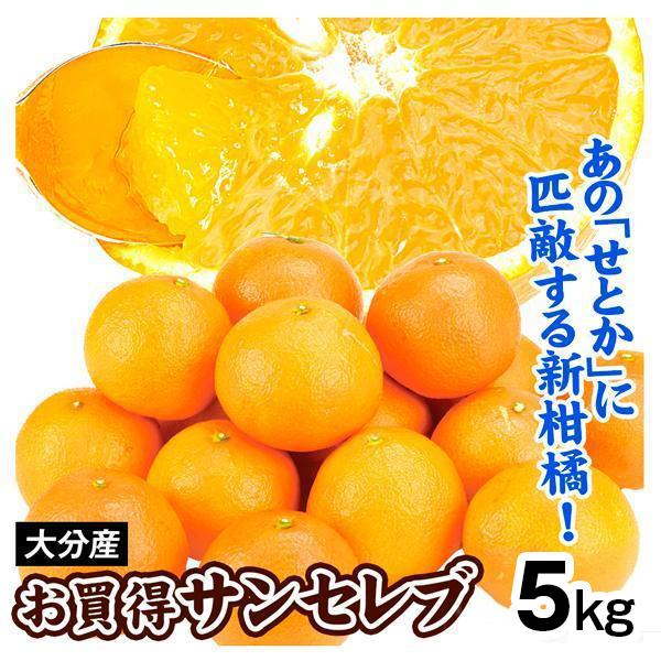 みかん 5kg ご家庭用サンセレブ 大分産 サンセレブ 送料無料 食品