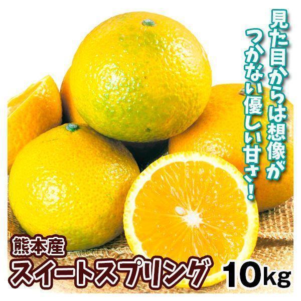 みかん 熊本産 ご家庭用 スイートスプリング 10kg 送料無料 食品