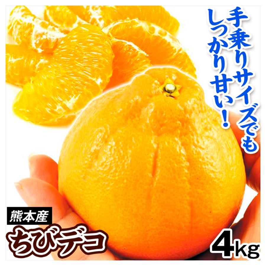 みかん ちびデコ 4kg 熊本産 不知火オレンジ 小玉 デコ 不知火 蜜柑 柑橘 オレンジ 送料無料 食品