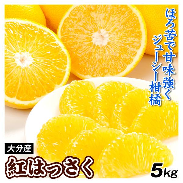 みかん 5kg 紅はっさく 大分産 ご家庭用 柑橘 果物 八朔 フルーツ 蜜柑 送料無料 食品