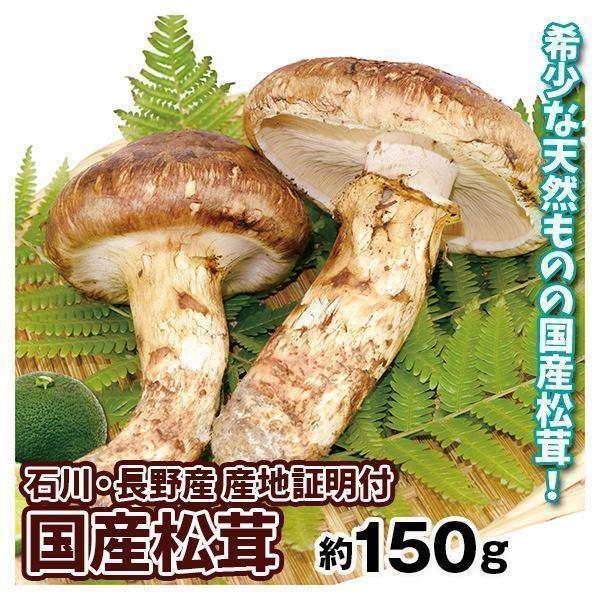 松茸 約150g 国産まつたけ 石川・長野産 送料無料 食品