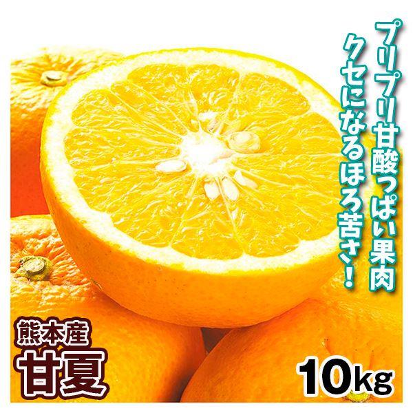 みかん 熊本産 ご家庭用 甘夏 10kg あまなつ 柑橘 蜜柑 フルーツ 果物 送料無料 食品