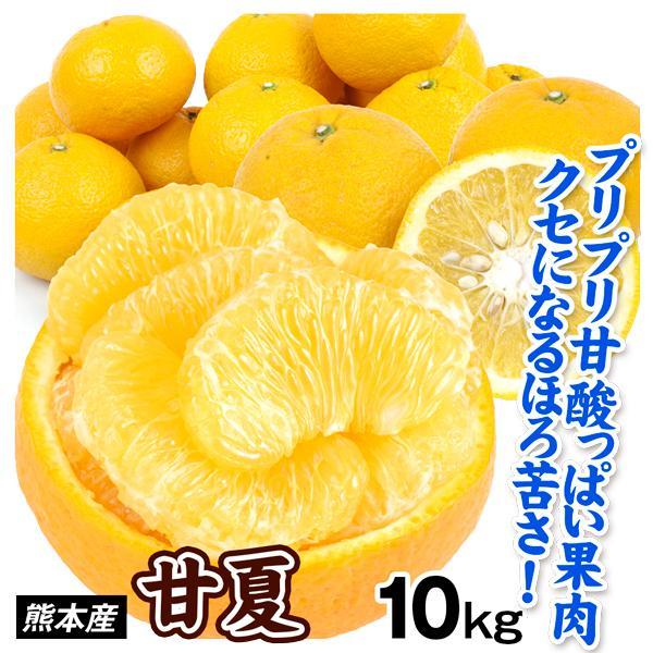 みかん 10kg 甘夏 ご家庭用 熊本産 送料無料 食品