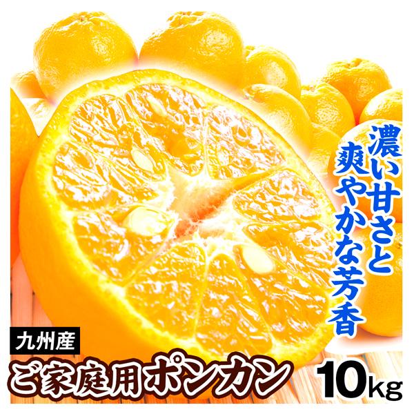みかん ポンカン 10kg 九州産 ご家庭用 オレンジ 柑橘 蜜柑 送料無料 食品