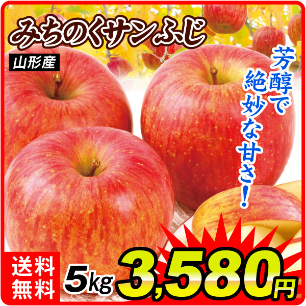 りんご 山形産 みちのくサンふじ 5㎏ 送料無料 食品【12月上旬より出荷予定】