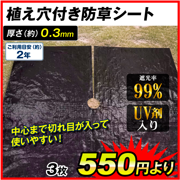 植え穴付防草シート 穴あき防草シート 果樹 農園 植え穴付き 切れ目 UV剤入り 草よけ 除草 雑草 耐用年数 2年 厚さ0.3mm