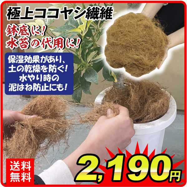 極上ココヤシ繊維 1.2ｋｇ