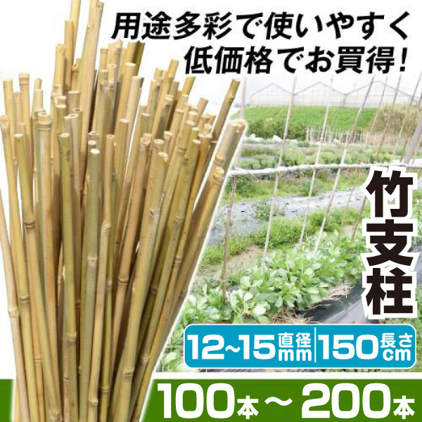 園芸 支柱 竹 12~15mm 150cm 100本 200本 竹支柱 天然竹 女竹 トマト キュウリ 個人宅OK 農業用支柱 菜園 野菜 栽培 農業資材 家庭菜園 国華園