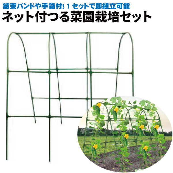 ネット付つる菜園栽培セット