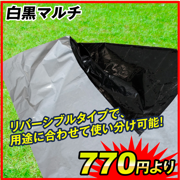白黒マルチ　農業用マルチシート 農ポリ農用 マルチ マルチング 保温 太陽光 反射 リバーシブル 両面 被覆資材 ポリエチレン