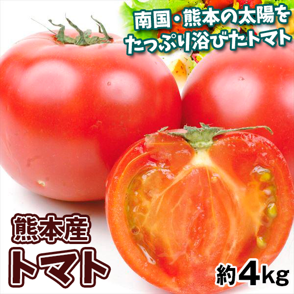 トマト 約4kg 熊本産 大玉トマト ご家庭用 食品 送料無料