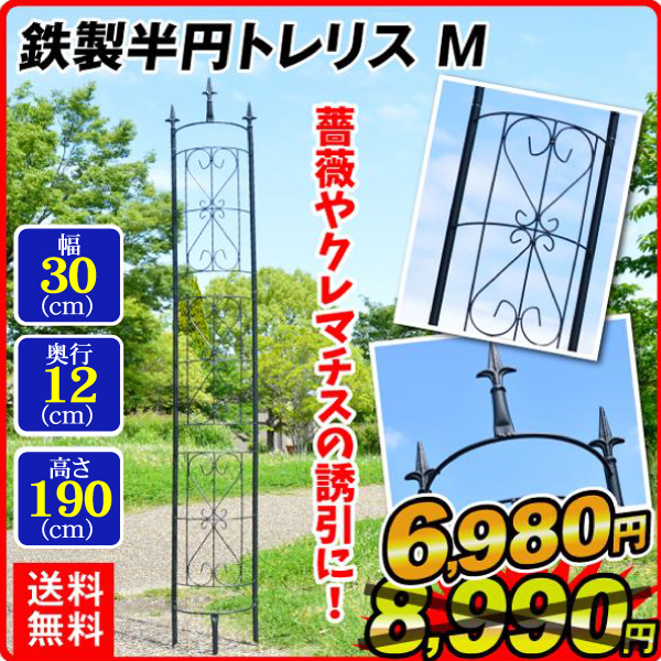 鉄製半円トレリスＭ １個 フェンス ガーデンフェンス ローズフェンス  ガーデニング アイアン 柵 仕切り 庭 公園 花壇 フラワー つるバラ 薔薇