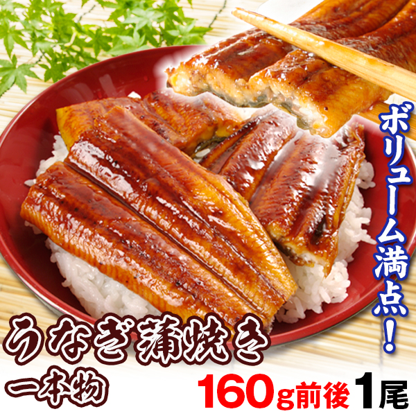 うなぎ うなぎ蒲焼き 1尾 160g前後 中国産 かば焼き 無頭 鰻 ウナギ ご家庭用 冷凍 国華園