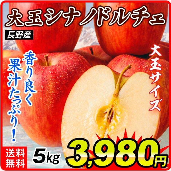 りんご 5㎏ 大玉 シナノドルチェ 長野産   送料無料 食品