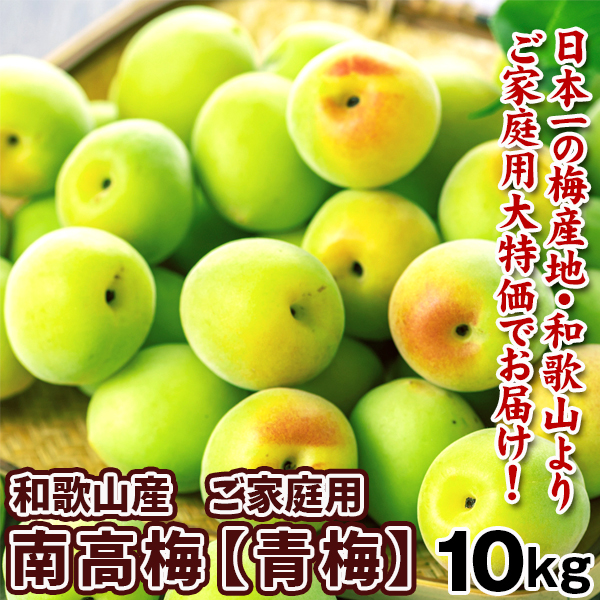 梅 和歌山産 ご家庭用 南高梅・青梅 10kg 送料無料 食品 冷蔵便