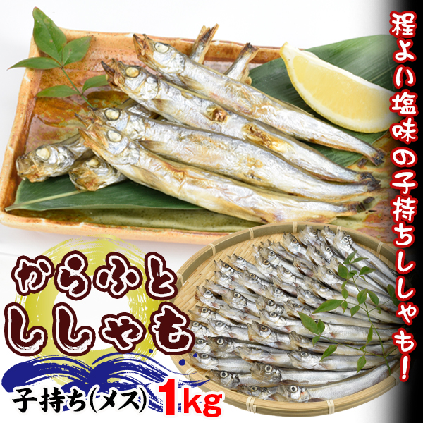 カラフトししゃも メス 1kg 干物 冷凍便 食品