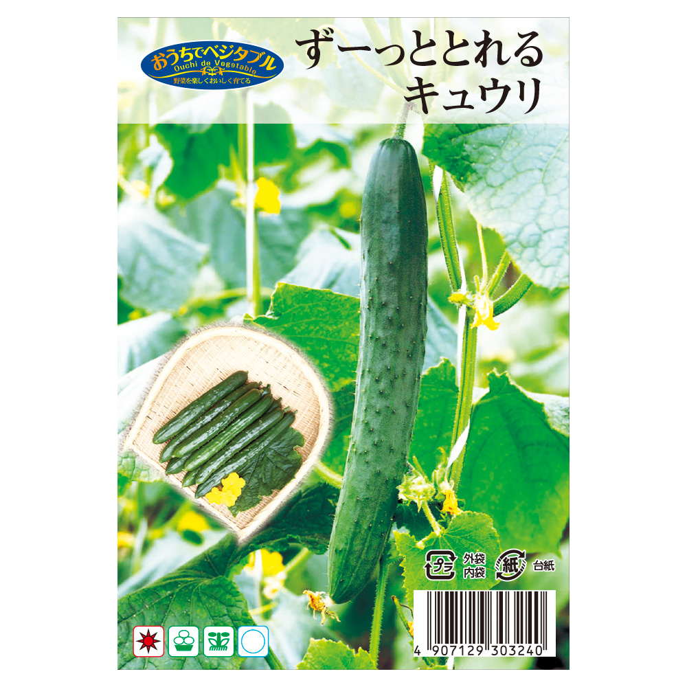 種 野菜たね キュウリ F1ずーっととれる 1袋（約8粒） /送料グループ【15ｱ】