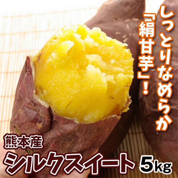さつまいも 熊本産 シルクスイート 5kg 送料無料 食品