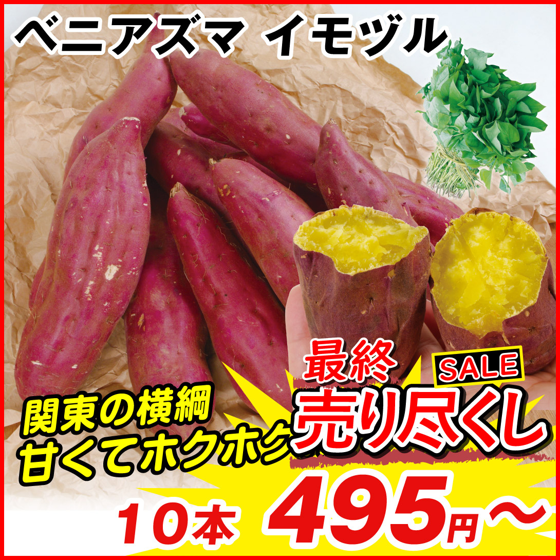 イモヅル 芋づる  ベニアズマイモヅル